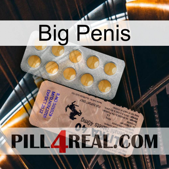 Big Penis 41.jpg